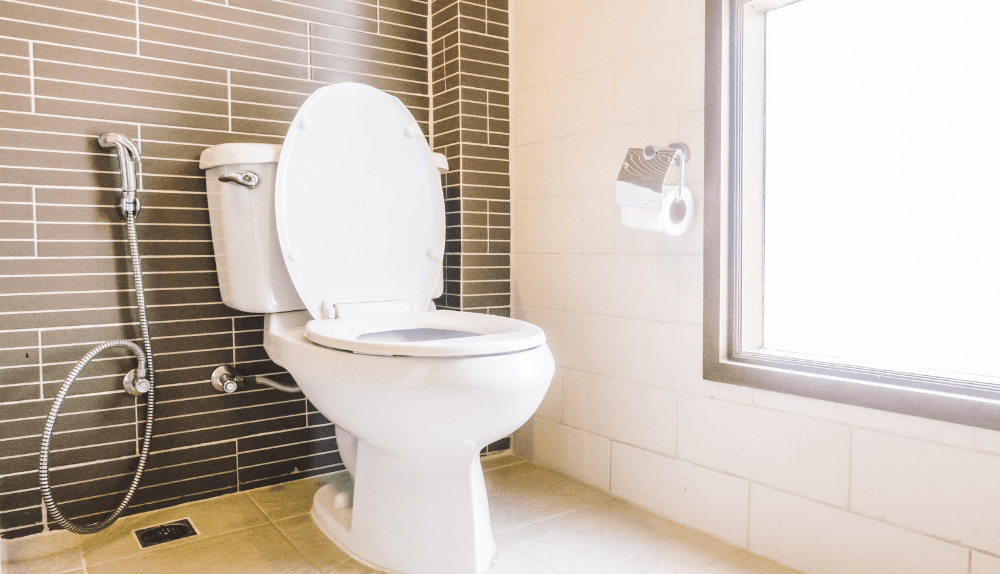 elongated-toilet-bowl